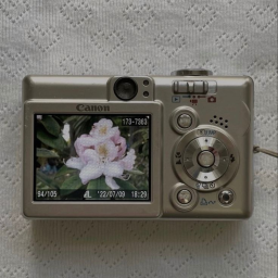 princess