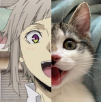 Yeet~Furries~Yeet