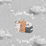 Stellar Moon Pies