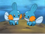 The Mudkip's