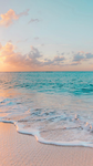 -Seaside Seashells-