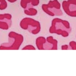 Preppypixiii.xoxoclothing