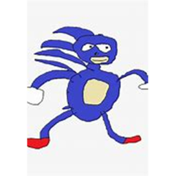 My own Remake Of Sanic Chase
