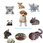 ~Cute Baby Animals