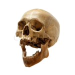 deathism
