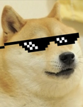 Memes37287