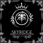 Skyrim's UGC