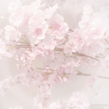 bwainslush  ˗ˋˏ ♡ ˎˊ˗