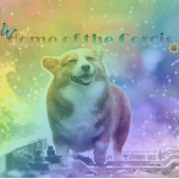 Home of the corgis!