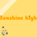 Sunshine academy! (Blocksburg)