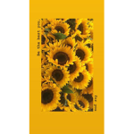 sunflower xx