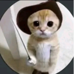 Yusuf drip
