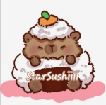 My lil Sushis