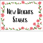 { - New Heights – }