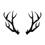 Black Sparkle Time Antlers