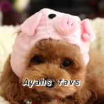 Ayahs favorites
