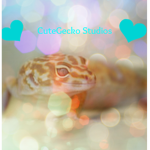 🦎♥️CuteGecko Studios♥️🦎