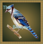 The Blue Jay's