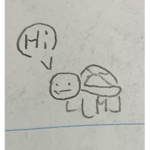 Turtles say hi