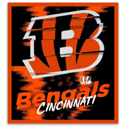 Cincinnati Bengals field