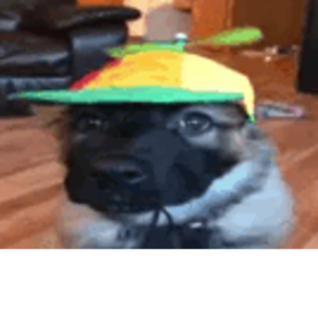 [ ⚒️ ON DEV] | The Joy Of Creation