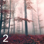 deterior 2