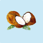 Coconuts Squad!