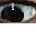 Eye gang reveal wwoooow *gasp* jp