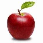 apple2noob