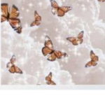 Isla’s butterfly club