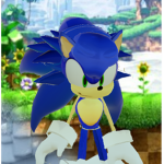 Team Sonic grupo