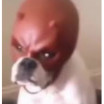 TeamSpartanz