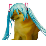 dorime.