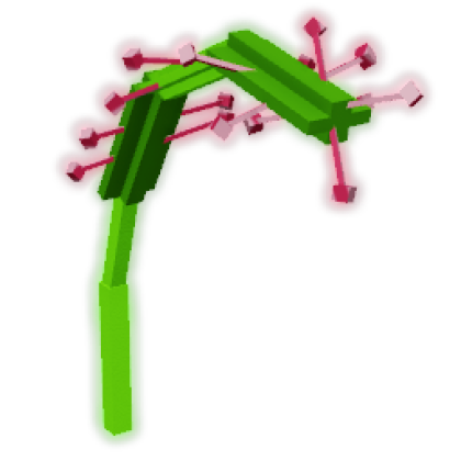 Sundew
