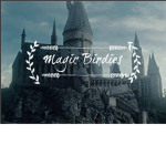 Magic Birdies