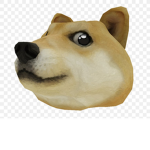 Doggy stuido