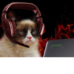 Kool Kat Industry