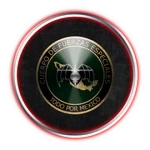 BUY IT FROM THE STORE