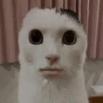 $unnyss