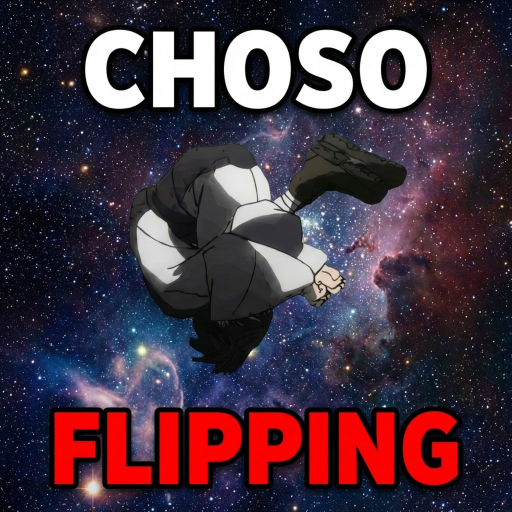 [WORLD 3] CHOSO FLIPPING EXPERIENCE