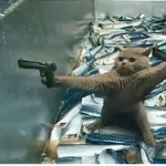 Cat.and.dogs