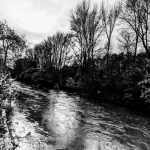 somewhere near the river Group Thumbnail
