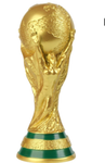 World Cup 2025 (touch football)
