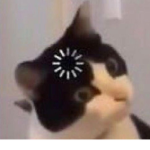 XxxjspxxX