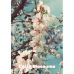 Little Blossoms<3