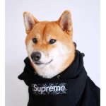 Cool Cloth Inc Incorporated Incorporation