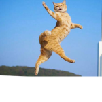 Dance till there's no chance