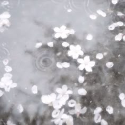 のみ ♡︎