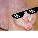 ALIENSSS! :D