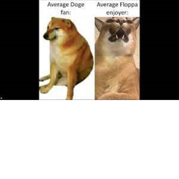 Floppa VS Doge obby (very bad)